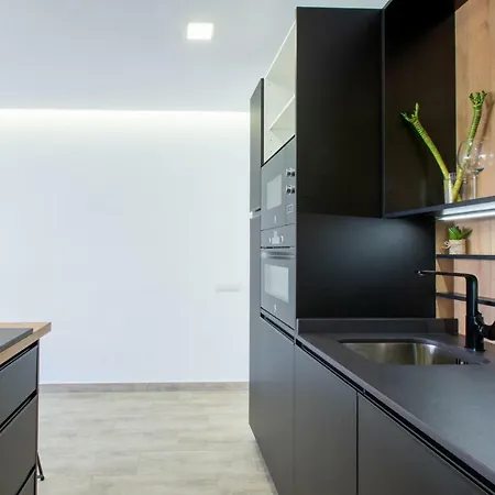 Apartament Flatguest Atico Lujoso